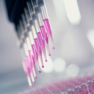 AdobeStock_109547189